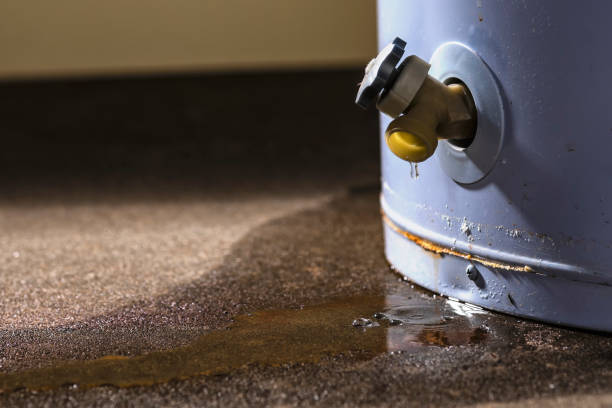 Best Water damage restoration near me  in Baxter, TN
