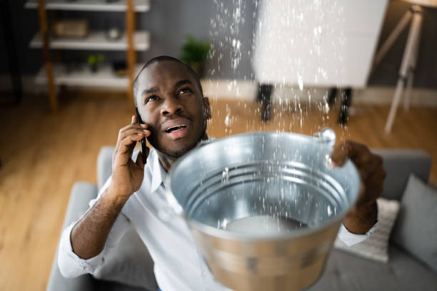 Best Ceiling water damage repair  in Baxter, TN