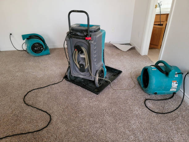 Best Residential water damage restoration  in Baxter, TN
