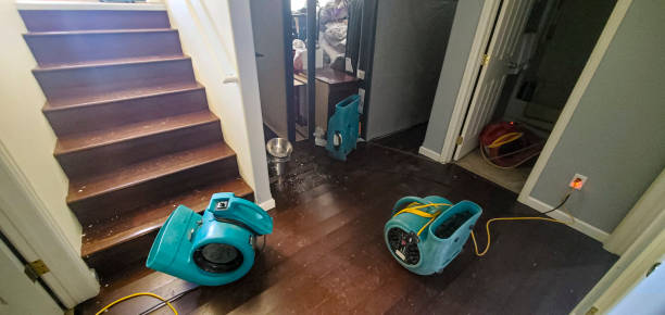 Best Water damage cleanup near me  in Baxter, TN