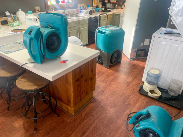 Best Water damage restoration near me  in Baxter, TN