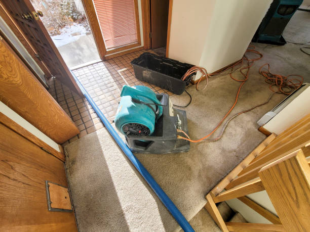 Best 24-hour water damage restoration  in Baxter, TN