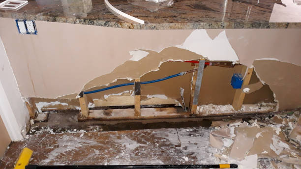 Best Water damage restoration mold remediation  in Baxter, TN