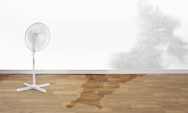 Best Fire Damage Restoration  in Baxter, TN