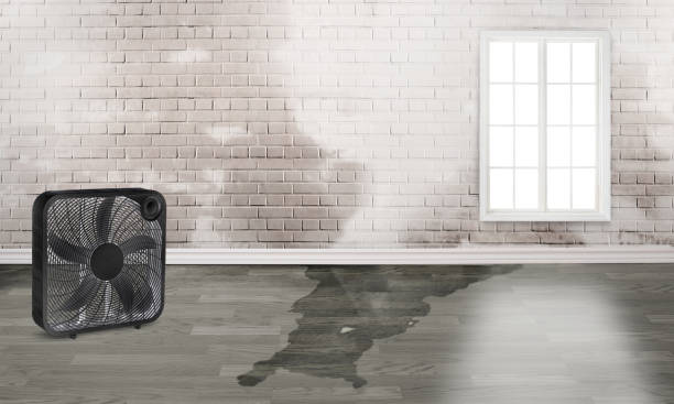 Best Water damage restoration near me  in Baxter, TN