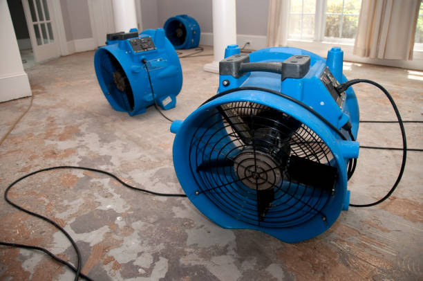 Water damage restoration mold remediation in TN