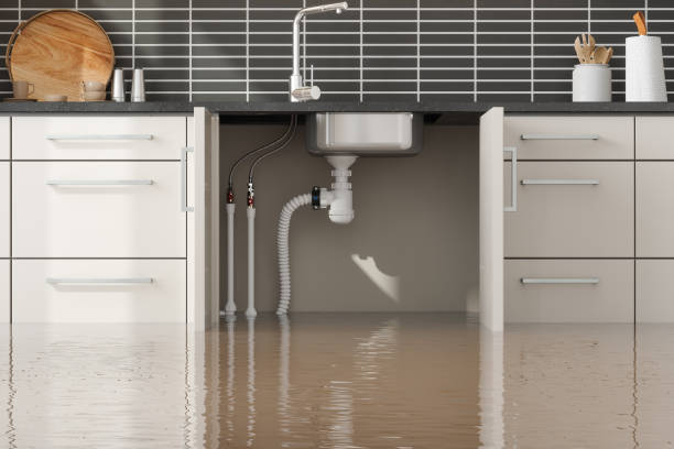 Best Flooded house restoration  in Baxter, TN