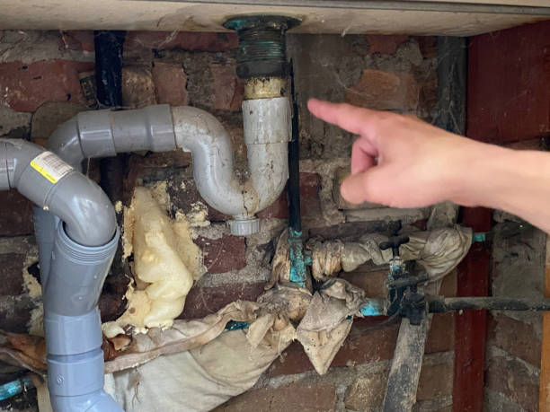 Best Flood damage cleanup  in Baxter, TN