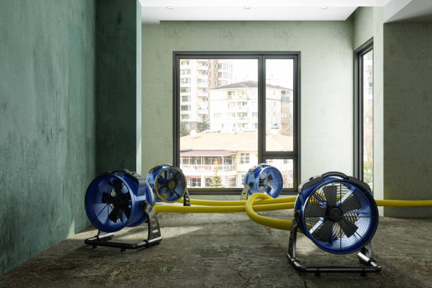 Best Mold removal after water damage  in Baxter, TN