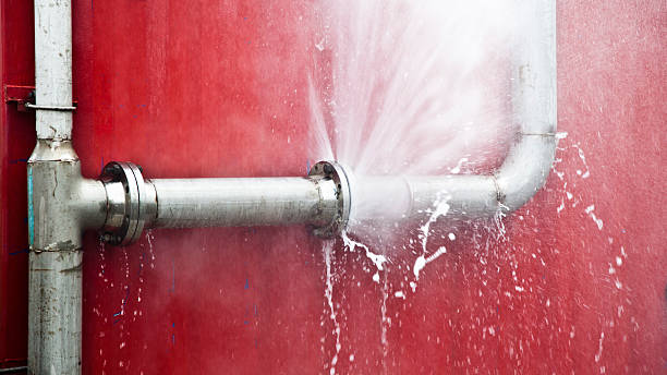 Best Carpet water damage restoration  in Baxter, TN